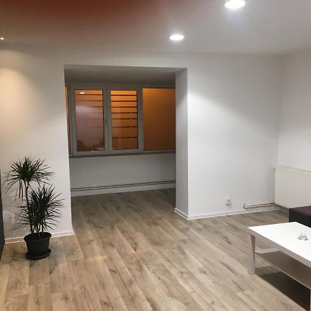 Apartment City Center Piteszti Zewnętrze zdjęcie